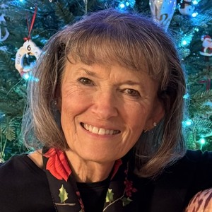 Terrie L Baros